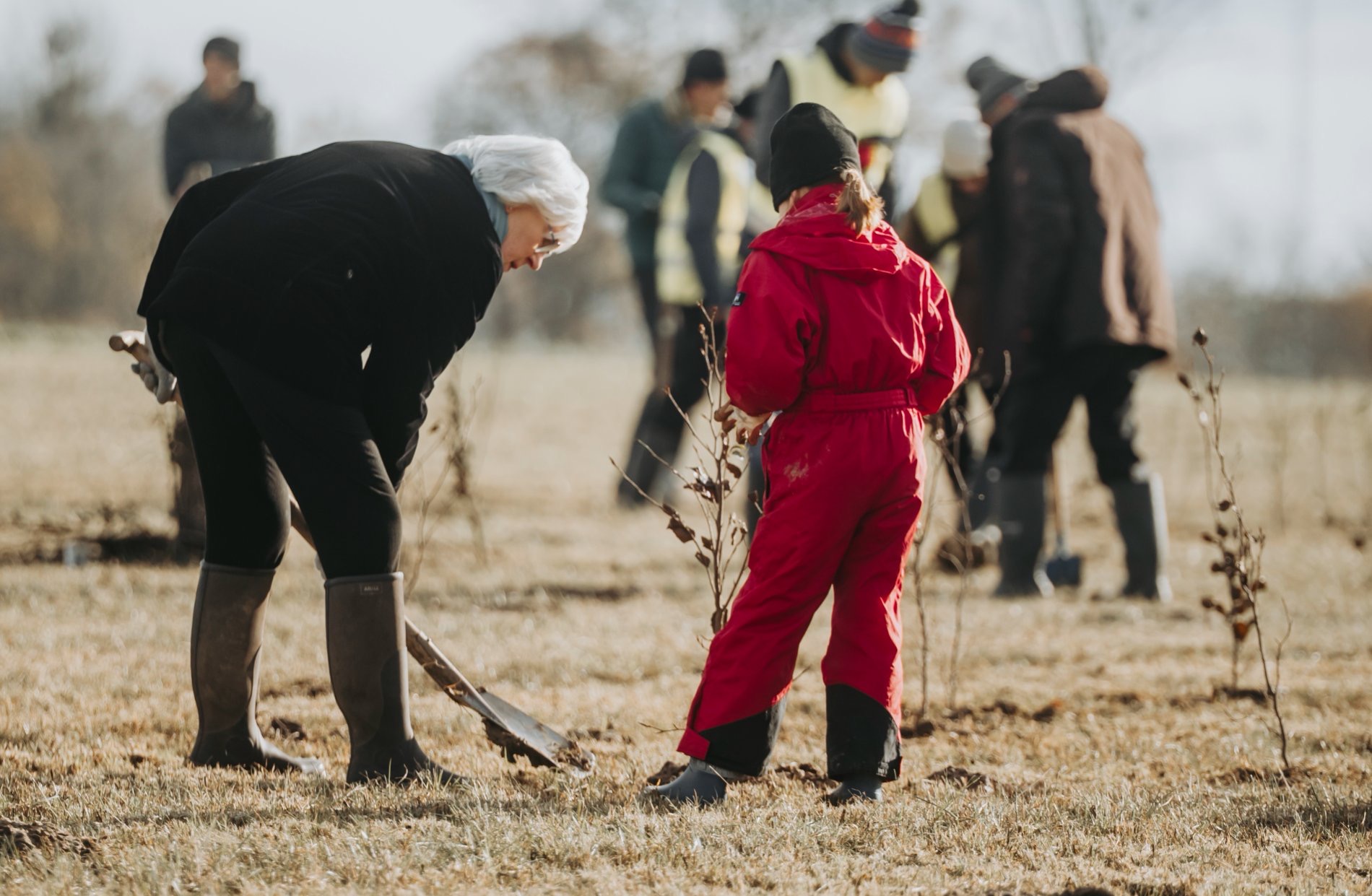 Drie generaties planten samen
